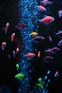 maksym-sirman-MRpMpHFz6eQ-unsplash