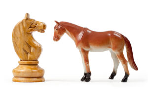 Toy Horses